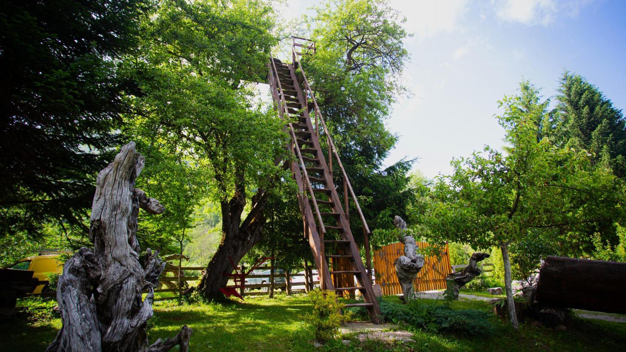 Ethno Village Stitarica Mojkovac Luaran gambar