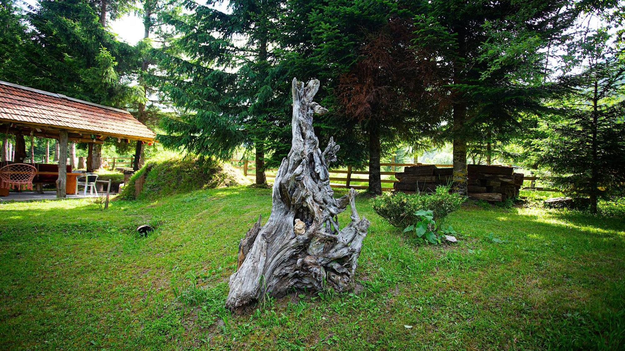 Ethno Village Stitarica Mojkovac Luaran gambar