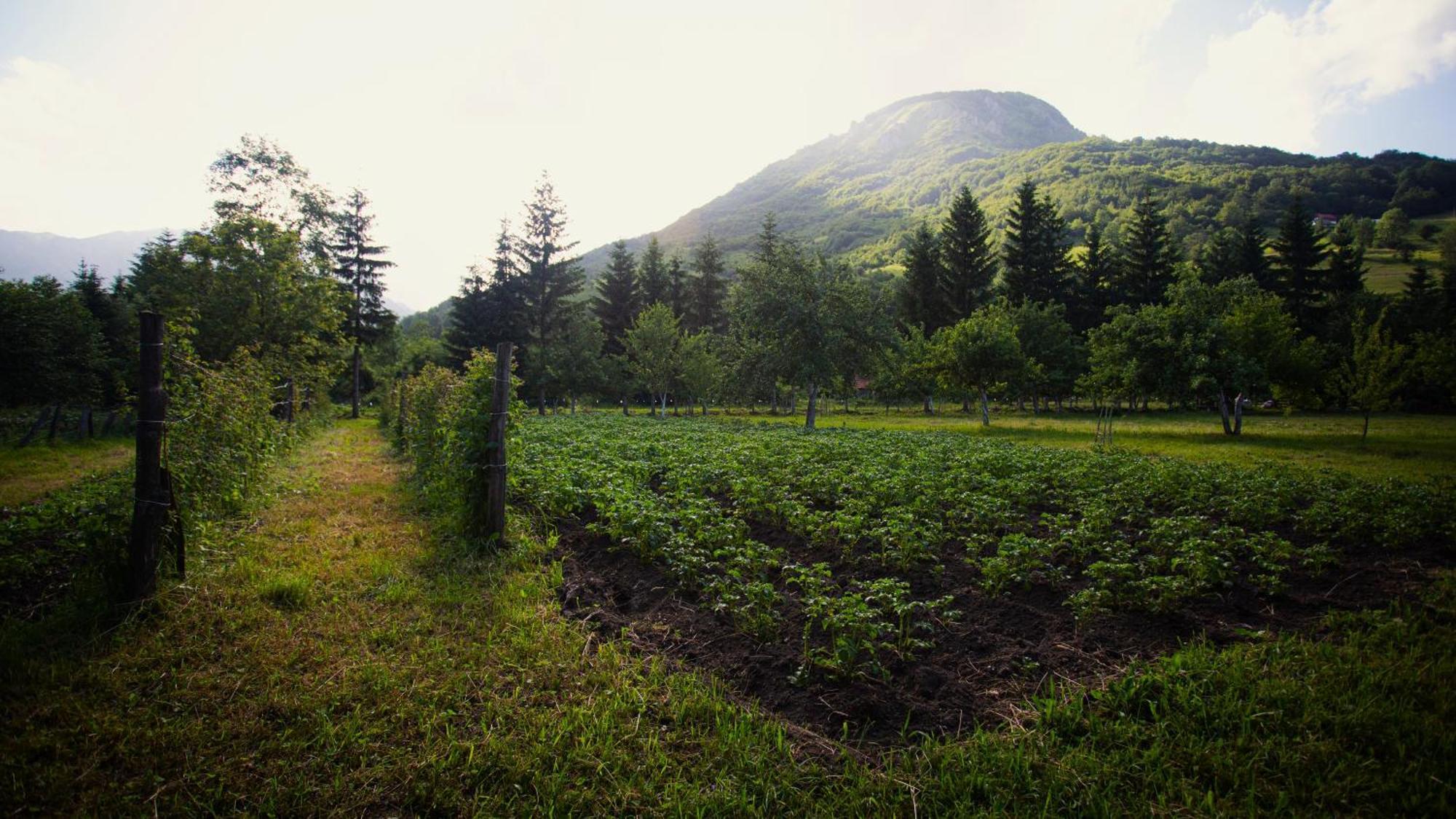 Ethno Village Stitarica Mojkovac Luaran gambar